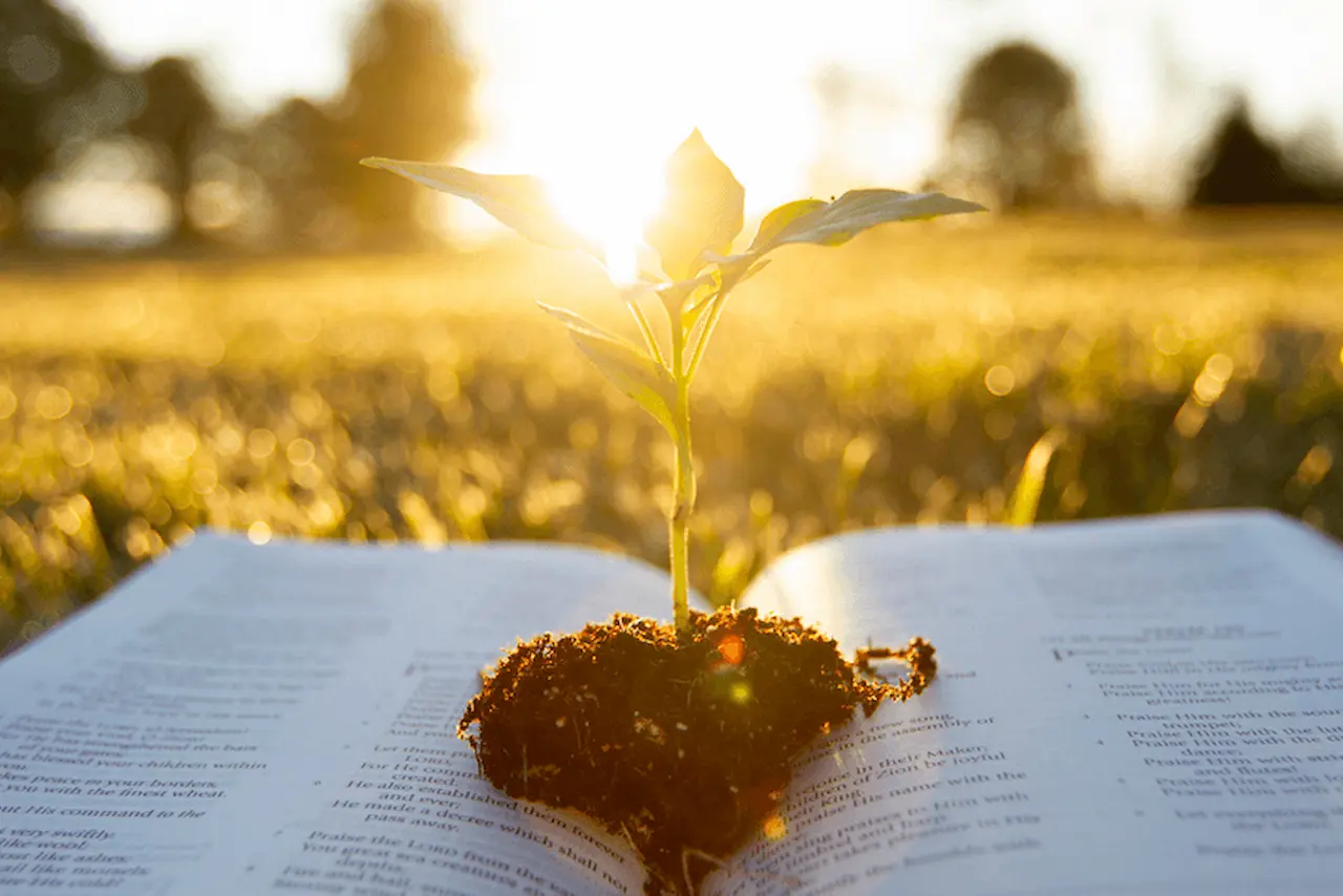 Christian reading the Bible and praying to grow spiritually through faith, worship, Scripture study, and a deeper relationship with God.